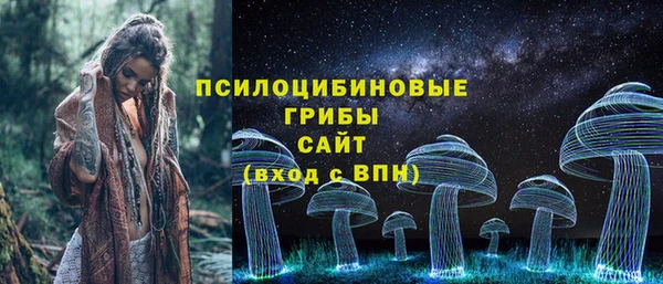 индика Арсеньев