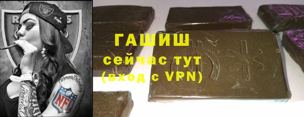 индика Арсеньев