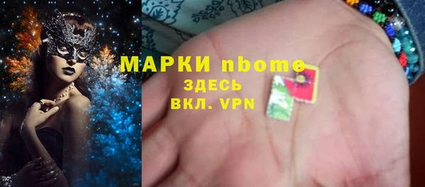 индика Арсеньев