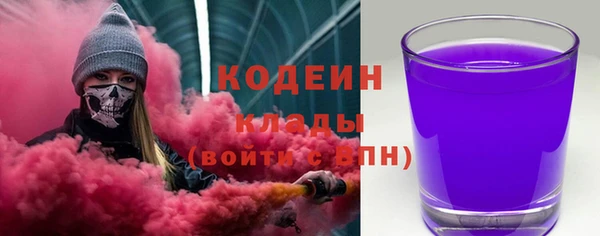индика Арсеньев
