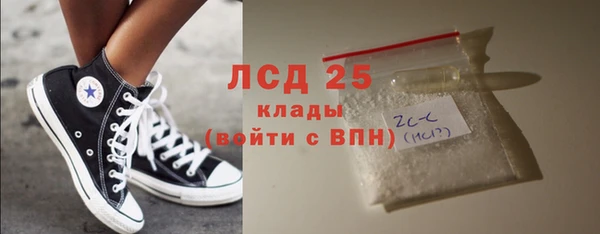 индика Арсеньев