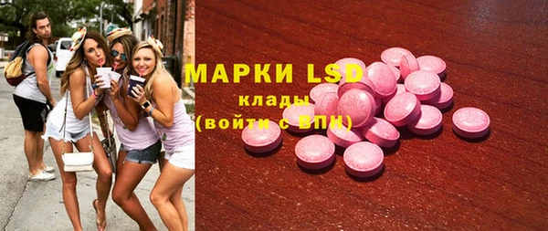 индика Арсеньев