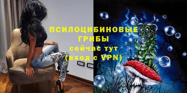 индика Арсеньев