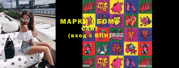 индика Арсеньев