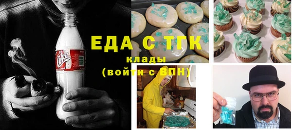 индика Арсеньев