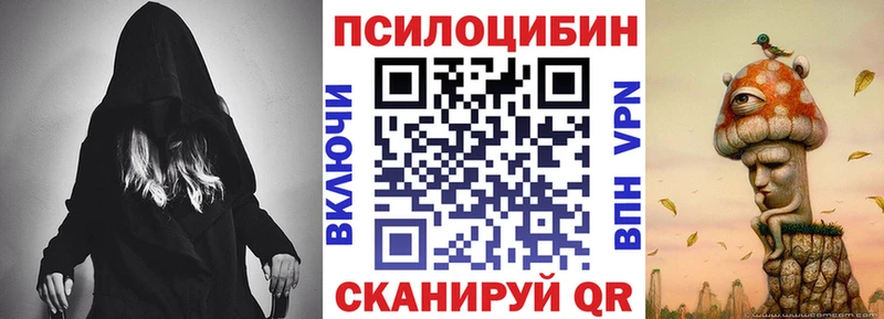 Псилоцибиновые грибы Psilocybine cubensis  Мышкин 